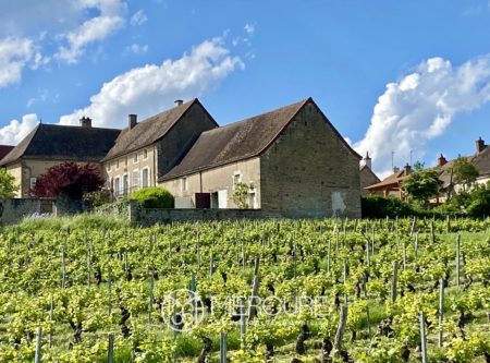 Ancienne propriété viticole XVIIe et ses vignes dominant la Côte chalonnaise - 1741VA