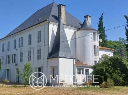Manoir avec dépendances - 23372