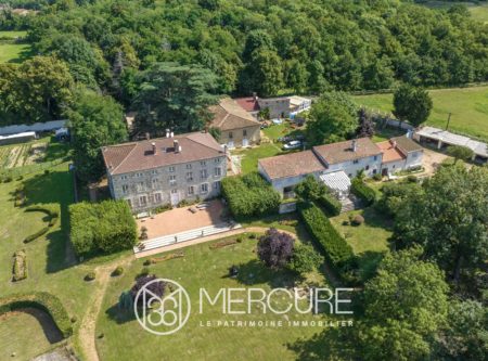 MAISON DE MAITRE XVIIIe RENOVEE – DEPENDANCES - 21351AU