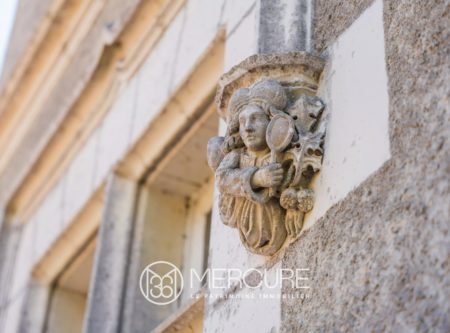 CHATEAUX XVIème et XIXèmes HOTEL RESTAURANT - 9692PO