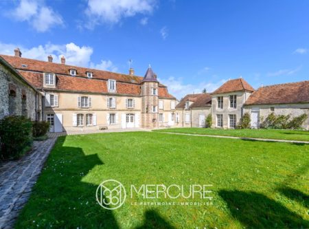 PROCHE DE FERTE GAUCHER – MANOIR DE CHARME - 20715IF