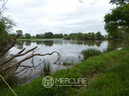 EXCEPTIONAL HUNTING TERRITORY OF 120 HECTARES - 10113MO