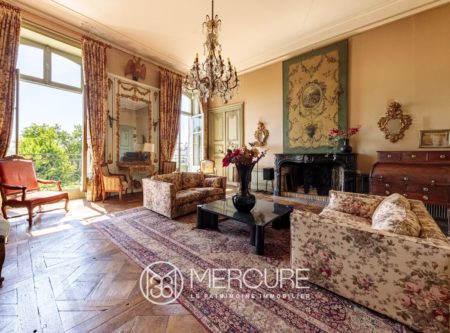 NANTES ÎLE FEYDEAU – RECEPTION APARTMENT IN AN 18th-CENTURY BUILDING – 234.54 m² (234.54 sq.ft.) - 3058