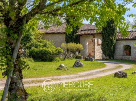 17th CENTURY CHARACTER PROPERTY – PARK & POOL - 8788TS