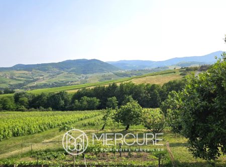 Propriété viticole à fort potentiel dans le Beaujolais – Vue imprenable sur les vignes - 4947LY