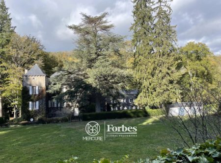DOMAINE XVIIE – DEPENDANCES – TERRES DE 55 HA - 8885TS
