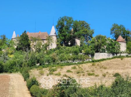 ALLIER, DOMINANT LA VALLEE DE LA SIOULE  AUTHENTIQUE CHATEAU XIII-XVIIeme ET SES DEPENDANCES - 21310AU
