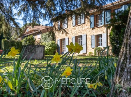 LARGE HOUSE IN A PARK IN THE CITY CENTRE - 8769TS