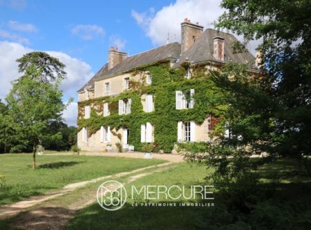 CHATEAU XIXe AVEC DEPENDANCES - 9377PO