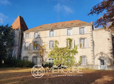 Domaine avec Château XVIIIème, dépendances, piscine, tennis, 10min centre RIOM - 21064au-1
