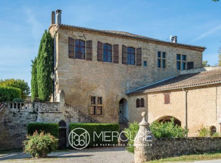 LISTED MEDIEVAL CASTLE - 8693TS