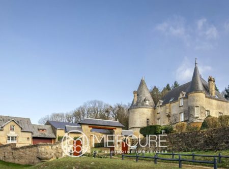 ARDENNES – CHÂTEAU, DEPENDANCES ET PARC 6.5HA - 80626PI