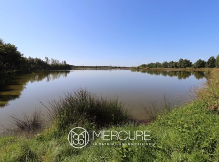 HUNTING, FISHING AND LEISURE PROPERTY - 9987PO