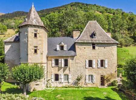 CHATEAU RENAISSANCE AU COEUR DES PYRENEES - 9254TS
