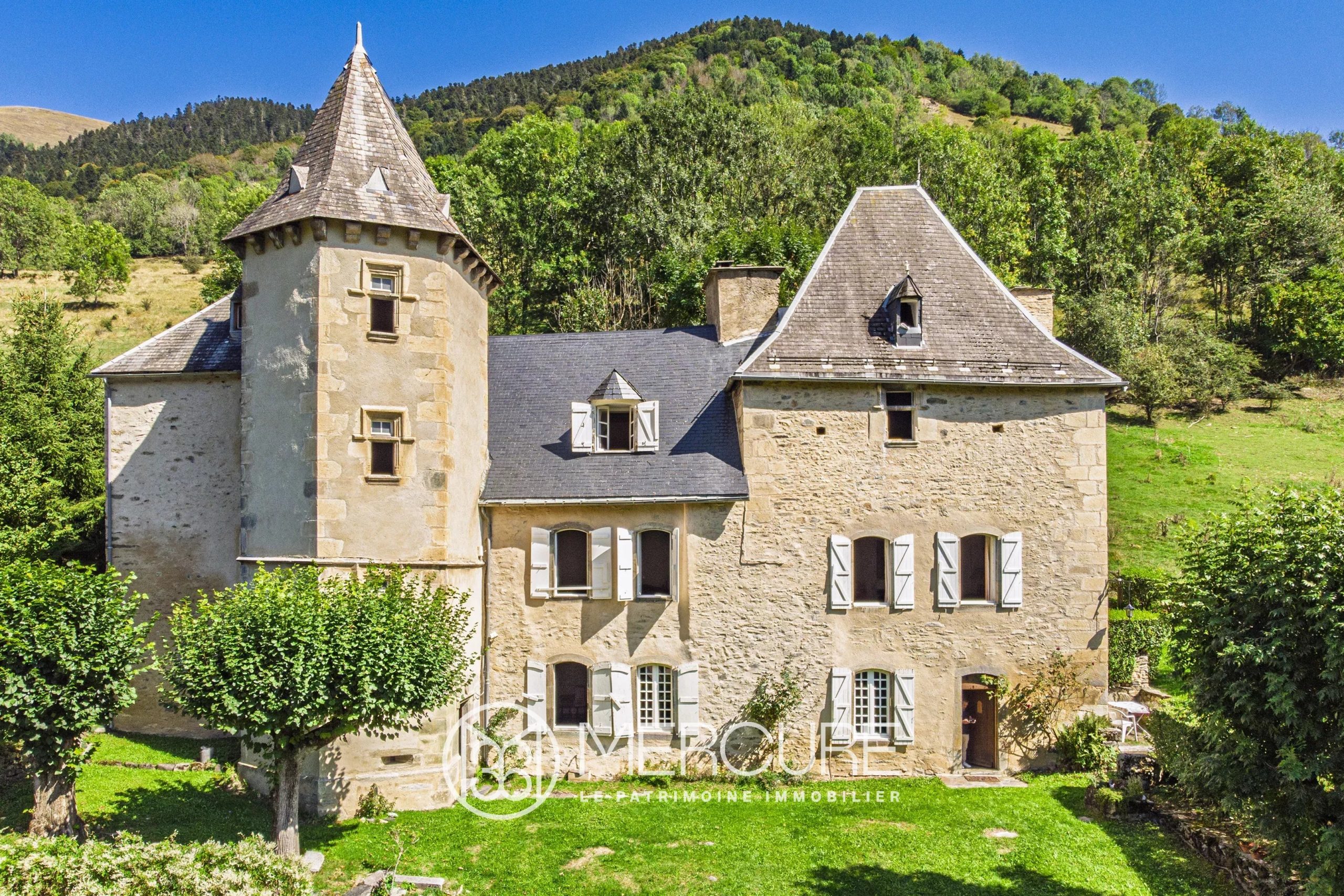 Renaissance Château in the Heart of the Pyrenees – A Haven of Charm and History - 9254TS