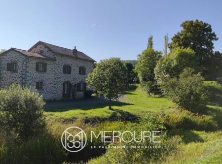 AU COEUR D’ANDELAT, CHARMANTE MAISON DE PIERRE - 9216TS