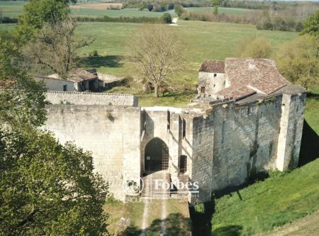 CHATEAU MEDIEVAL DU XIV ENTRE SAINTONGE ROMANE ET OCEAN - 10210PO