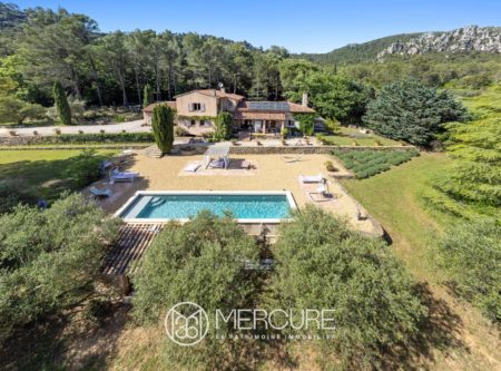 Rare à ce prix – Magnifique bastide rénovée au coeur d’un parc exceptionnel ! - 21248CA