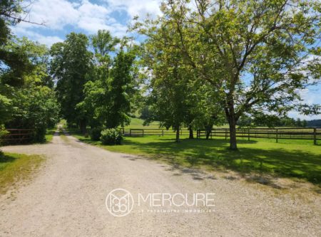 Southwest of France, Bergerac – magnificent chartreuse set on 30ha - 900984bx