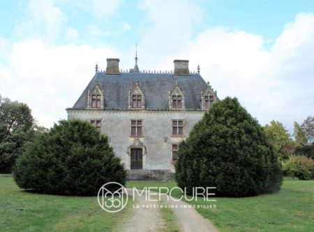 CHATEAU XIXe DANS UN ECRIN DE VERDURE - 10024PO