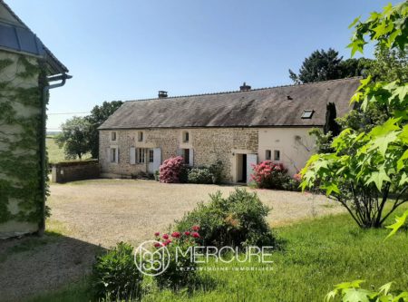 PROPRIETE DE CARACTERE, PISCINE, 4000 M² TERRAIN - 1679MHL