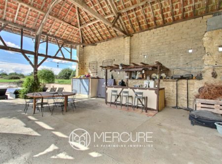 BELLE MAISON RENOVEE – VUE PYRENEES – PISCINE - 9263TS