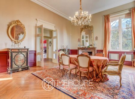 South of France, Magnificent château Napoleon III – 15 Minutes from Toulouse - 9099TS