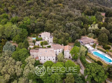 PARC NATIONAL DES CEVENNES DOMAINE AVEC GITES ET RECEPTION – TERRAIN 14 HA - 21368LR