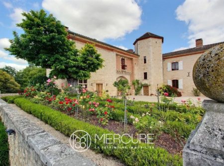 BEAU CHATEAU RENOVE – DEPENDANCES ET PISCINE - 8059TS