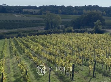 VIGNOBLE AU COEUR DE L’ENTRE-DEUX-MERS - 901080bx