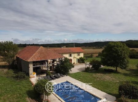 BELLE MAISON RENOVEE – VUE PYRENEES – PISCINE - 9263TS