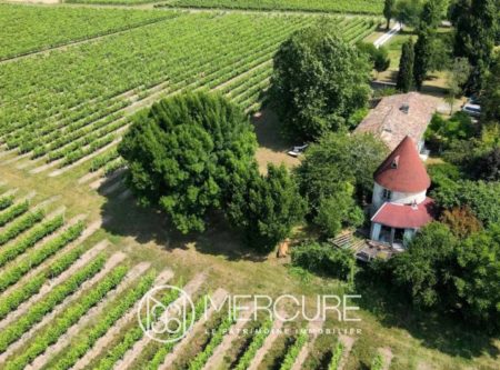 MAISON DE FAMILLE & MOULIN AU COEUR DE LA CAMPAGNE DE HAUTE SAINTONGE - 10235PO
