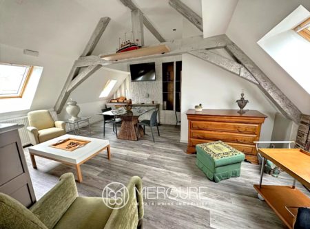 6 APPARTEMENTS RÉNOVÉS MEUBLÉS - 9680-2