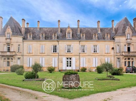 Château historique du XIXe siècle – Domaine viticole et familial - 10221