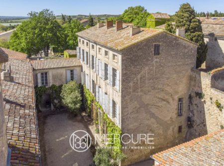 MAGNIFIQUE HÔTEL PARTICULIER A RENOVER - 9161TS