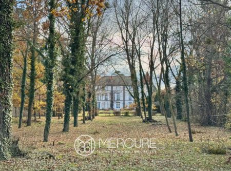Estate with 16th century Château, outbuildings, swimming pool, tennis court, 10min from RIOM center - 21064AU