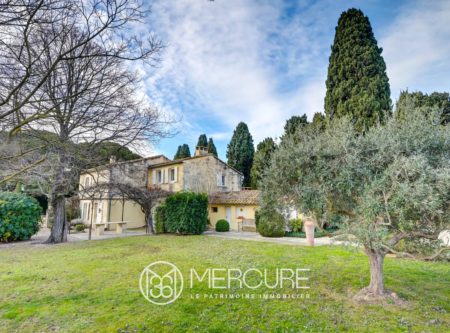 MAS AUTHENTIQUE PONT DE CRAU - 21009LR