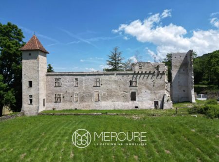 DAUPHINE – MAISON DE CARACTERE AVEC RUINES RENOVEES ET SECURISEES - 4927LY