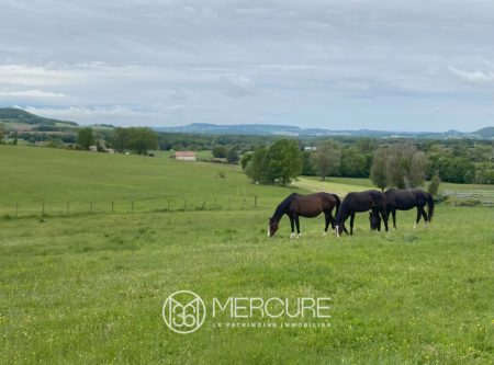 PROPERTY 40 HA – 17 BOXES – WOOD MEADOWS AND SWIMMING POOL – PENNE- D’AGENAIS (47) - 900973bx