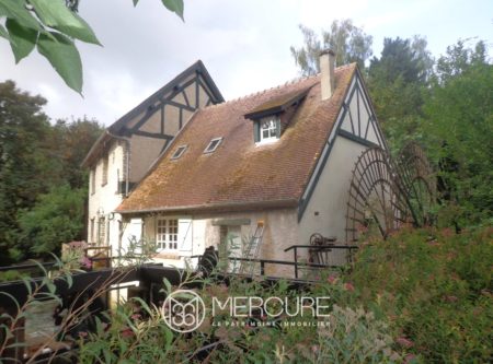 Pacy sur Eure, Propriété de charme avec moulin et maison d’amis en bordure de l’Eure - 21408NO