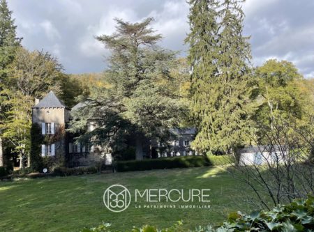 DOMAINE XVIIE – DEPENDANCES – TERRES DE 55 HA - 8885TS