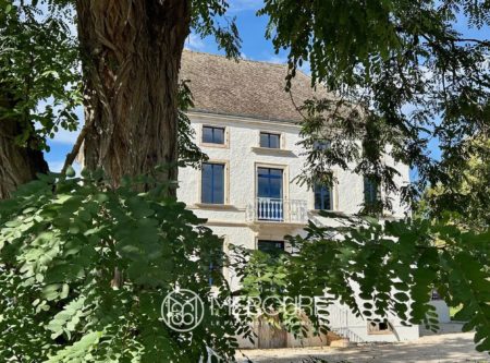 Maison de maître, maison de gardien et jardin avec piscine - 21418VA