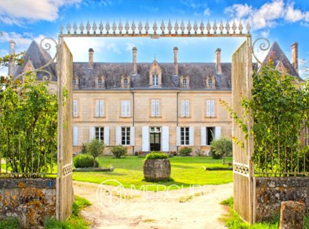 Historic 19th-Century Château – Family Vineyard Estate in Charente-Maritime - 10221PO