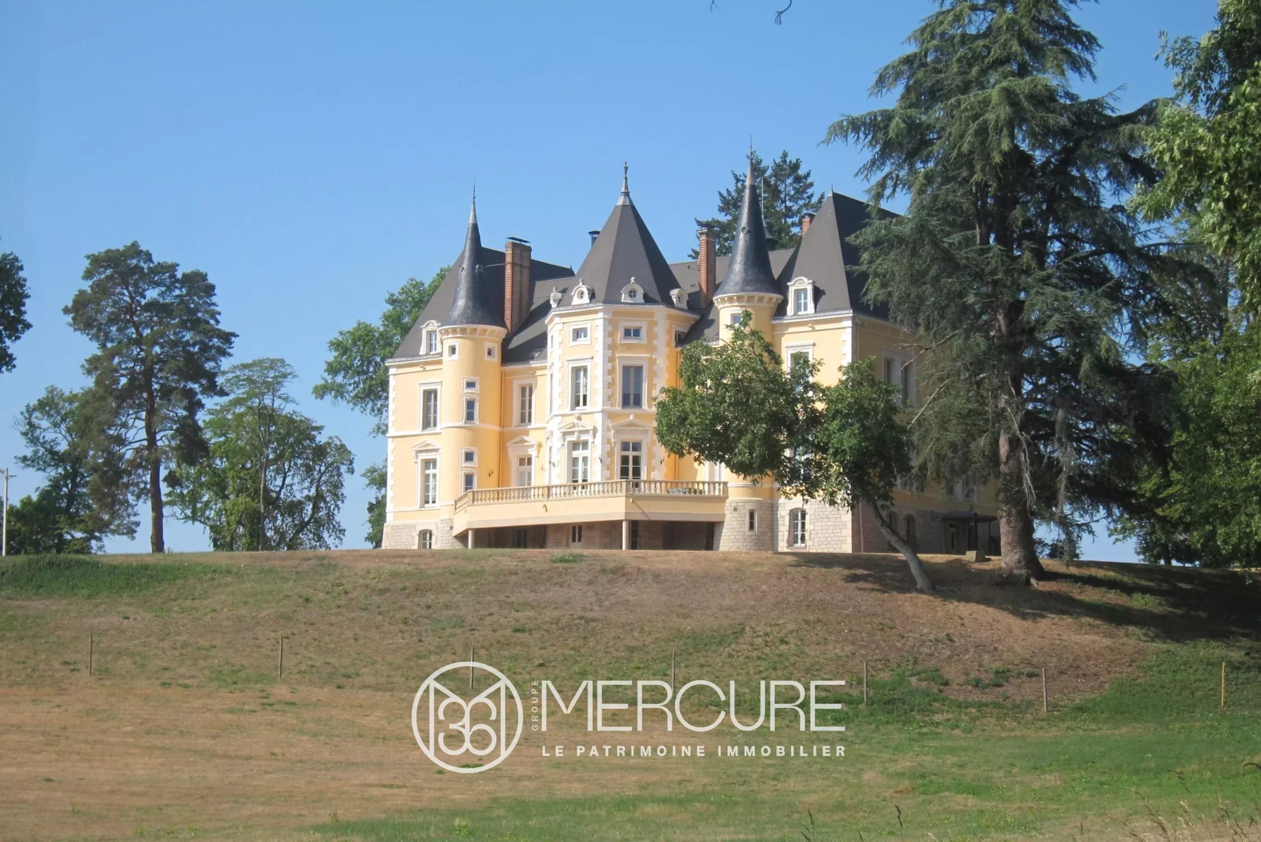 CHÂTEAU DU XIXème SIECLE ENTIEREMENT RESTAURE - 1503EL