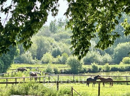 Normandy, restored 17th century property surrounded by 11 ha - 20953NO