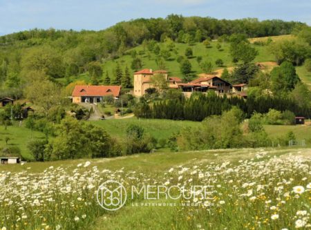 ENSEMBLE DE TROIS MAISONS AVEC LAC ET 33 HECTARES - 9273TS