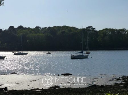 Brittany, south of Morbihan, 15 minutes from the sea, 18th-century stone property, swimming pool and park - 21377BR