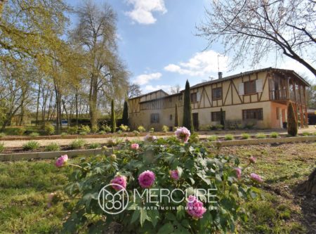 MOULIN XIIe – TROIS LOGEMENTS –  PISCINE –  5 HECTARES - 9274TS