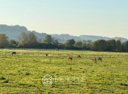 Normandy, 30 minutes from Deauville, 40 ha stud farm with 80 boxes - 21250NO
