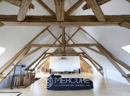 Completely renovated 17th-century château and its large outbuildings - 21314VA